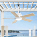 TRUYOK Deckenventilator, 106CM, Weiss, Outdoor mit Beleuchtung IP65 Wasserdicht Aussen