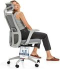 Desktronic Schreibtisch, Grau, Verstellbarer ergonomischer Bürostuhl, Schreibtischstuhl mit Lendenwirbelstütze